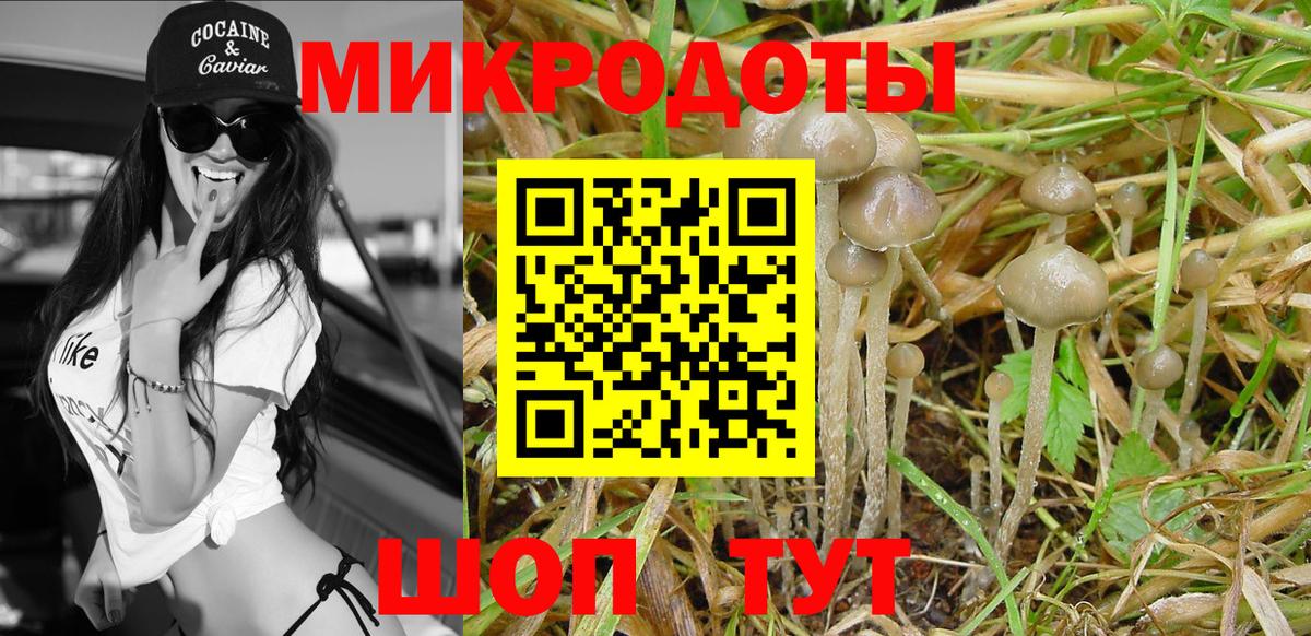 Галлюциногенные грибы мицелий Новочеркасск